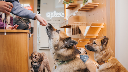Sploot Veterinary Care