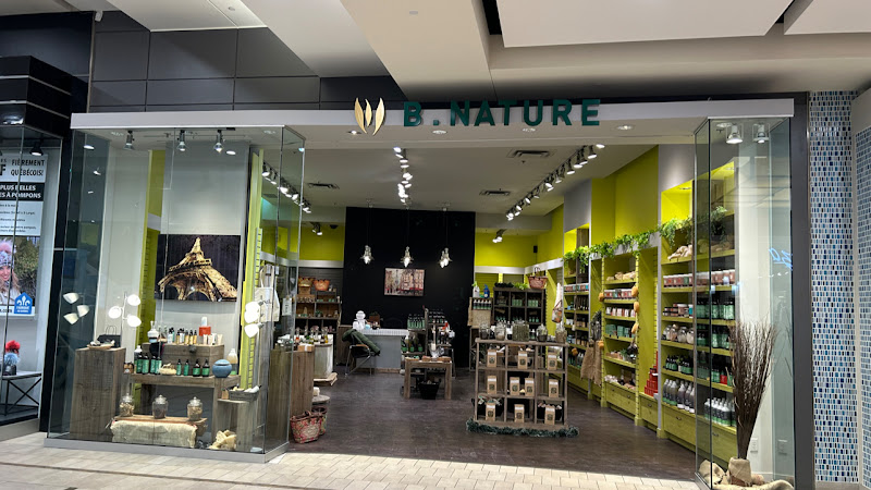 B. Nature