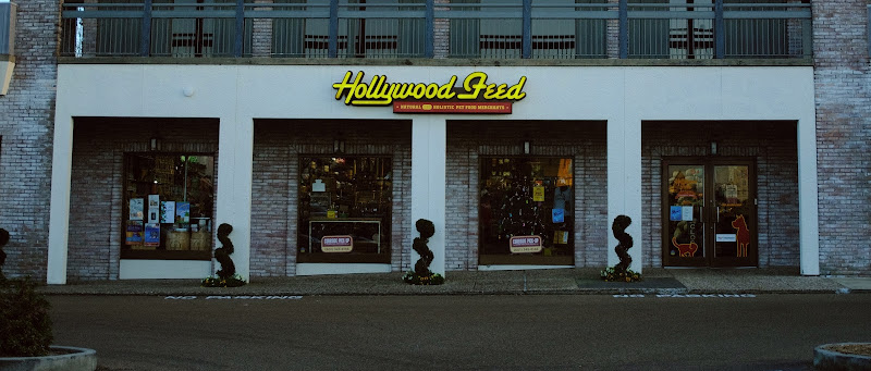 Hollywood Feed