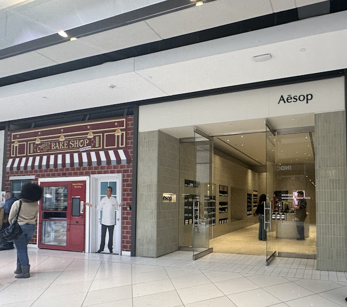 Aesop