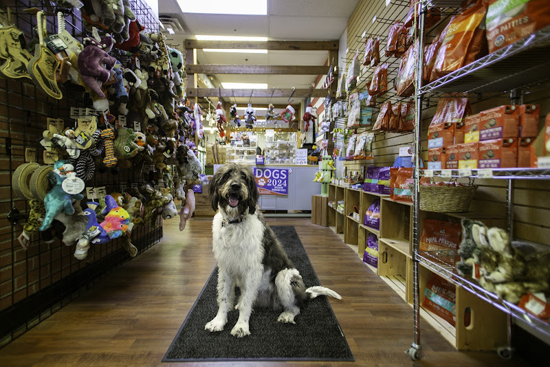 Whats In The Bowl Pet Shop & Grooming - Delafield
