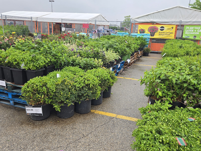 Outdoor Garden Centre at The Home Depot