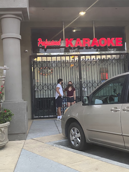 Professional Karaoke