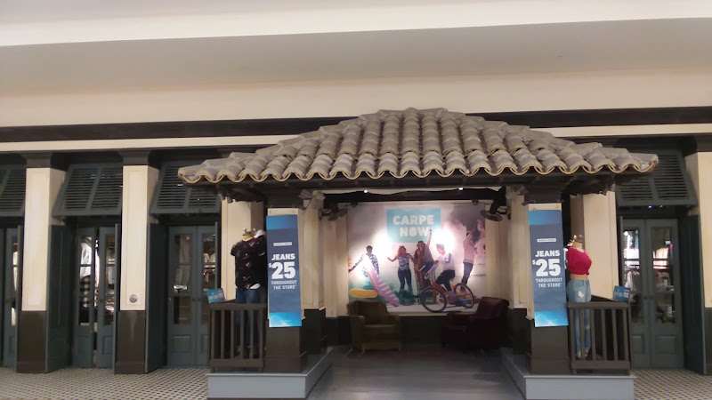 Hollister Co.