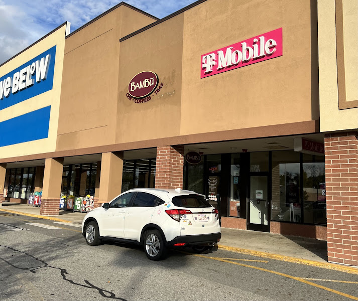Bambu Lowell