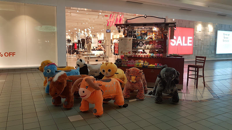 Animal Fun Rides