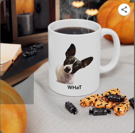 Lizards Lair Gifts
