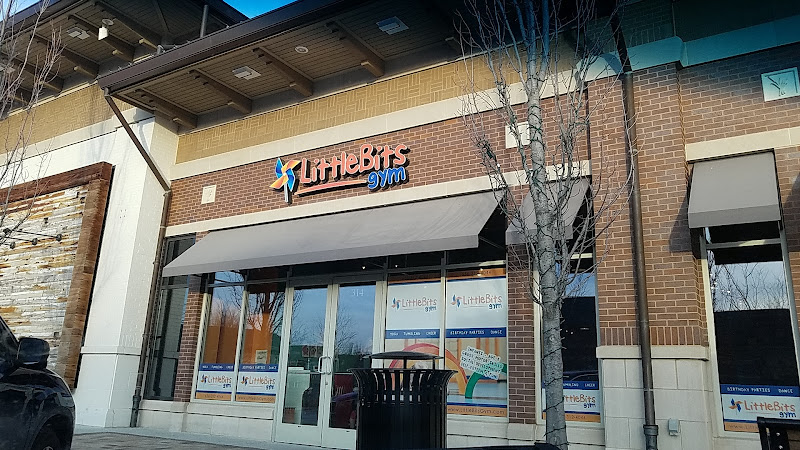 LittleBits Gym