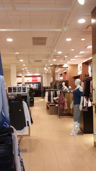 Lane Bryant