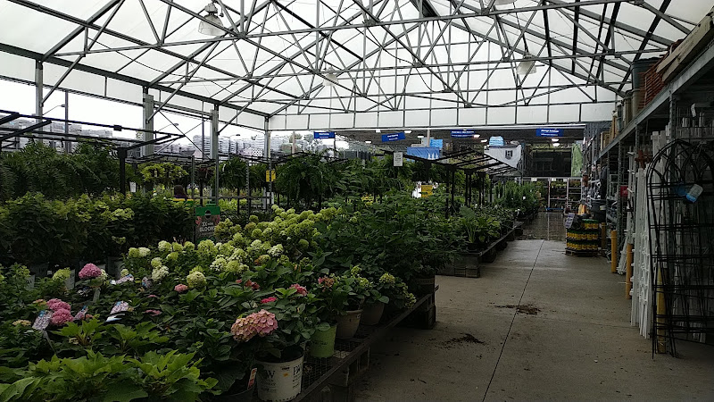 Lowe's Garden Center