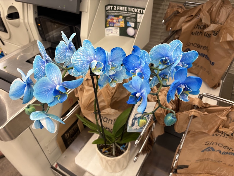 Albertsons Floral