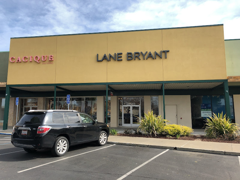 Lane Bryant Cacique