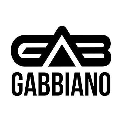 Gabbiano logo