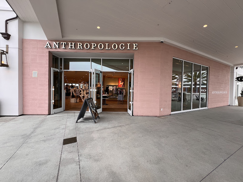 Anthropologie