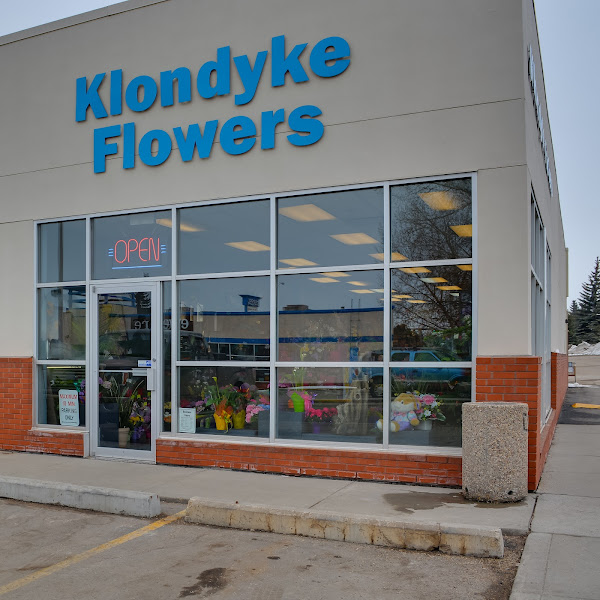 Klondyke Flowers