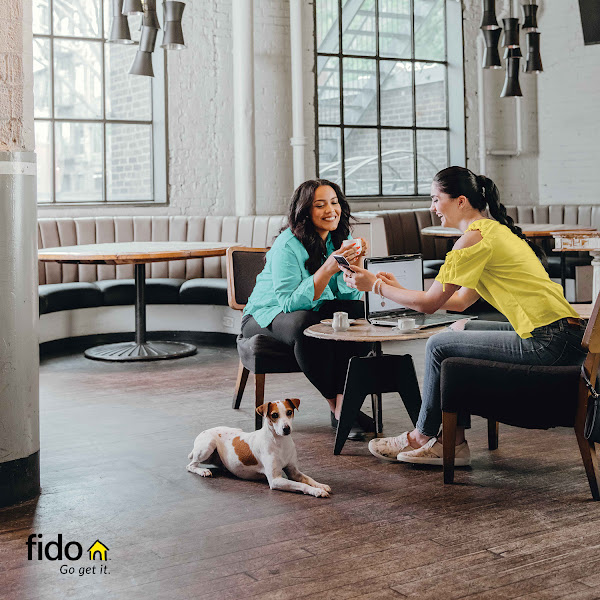 Fido (Available in the Rogers Store)