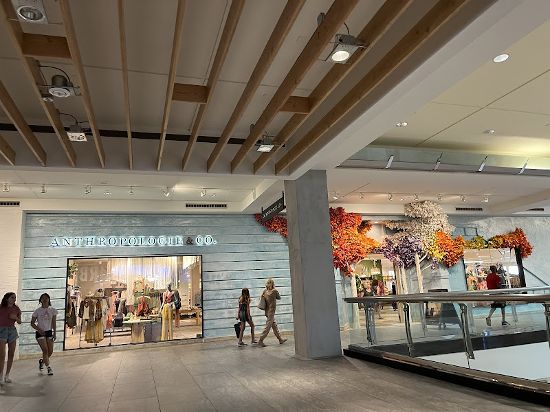 Anthropologie