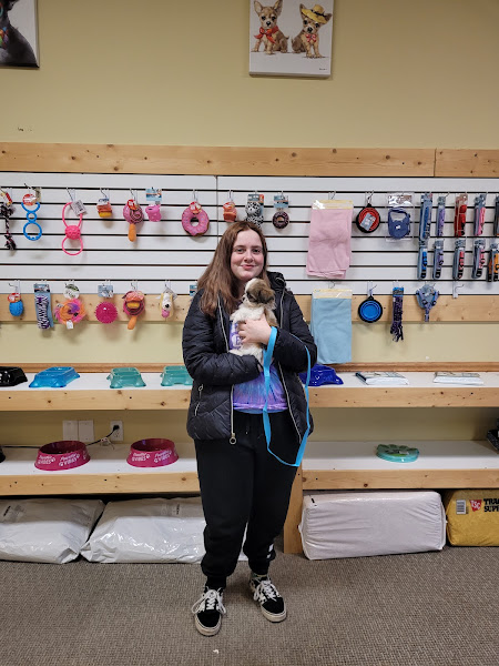Brookside Pups - Wilkes Barre
