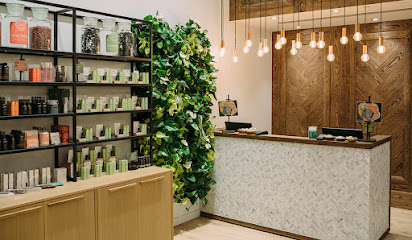 Saje Natural Wellness