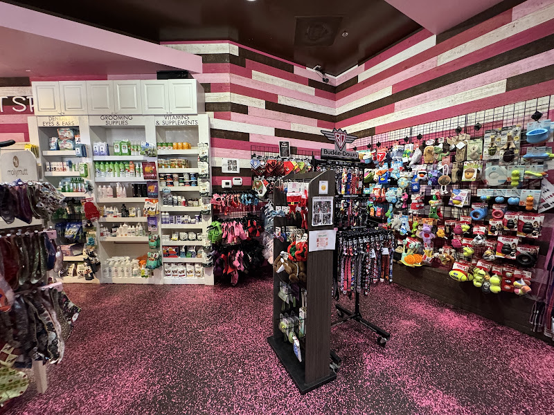 Woof Gang Bakery & Grooming Celebration