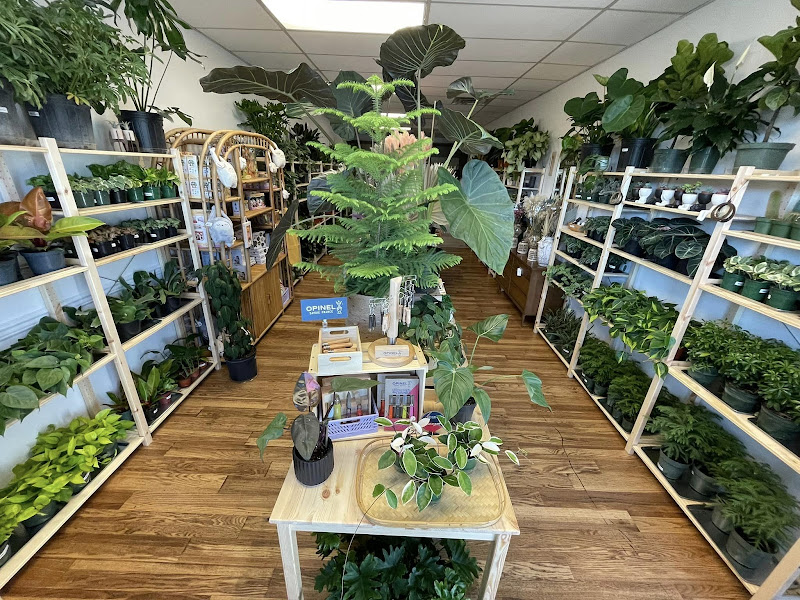 Flora & Folia