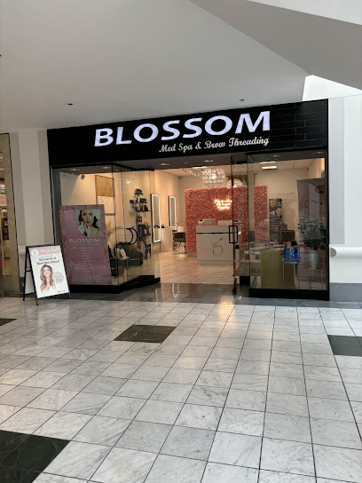 Blossom Med Spa & Brow Threading
