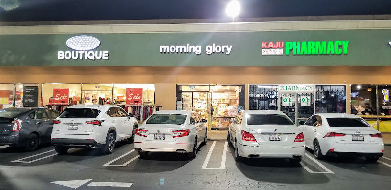Morning Glory