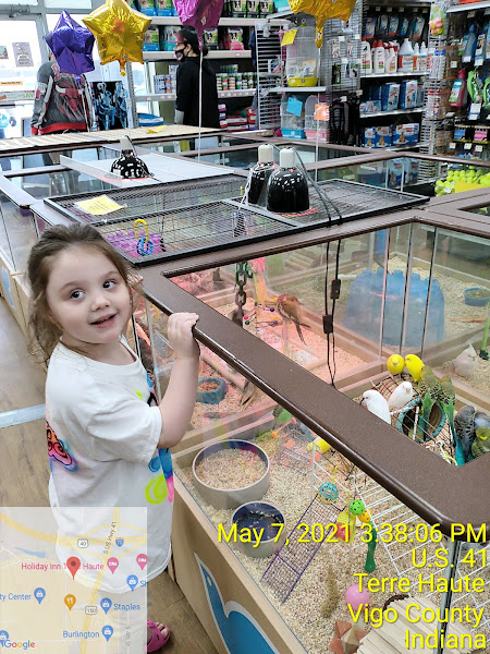 Petland Terre Haute