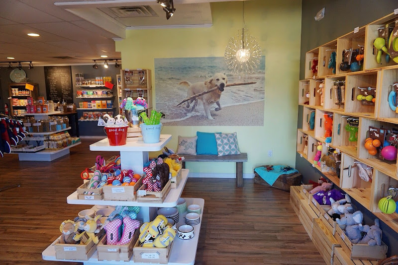 Oasis Dog Spa & Shoppe