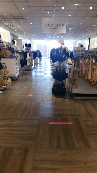 Lane Bryant