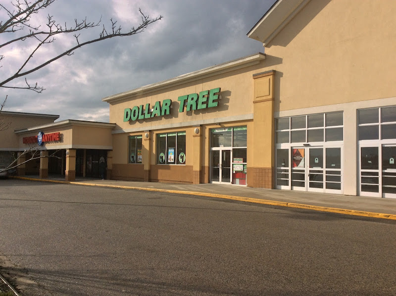 Dollar Tree