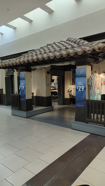 Hollister Co.
