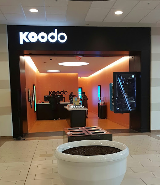 Koodo