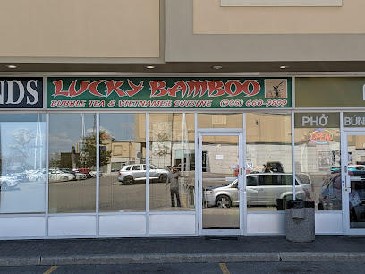Lucky Bamboo