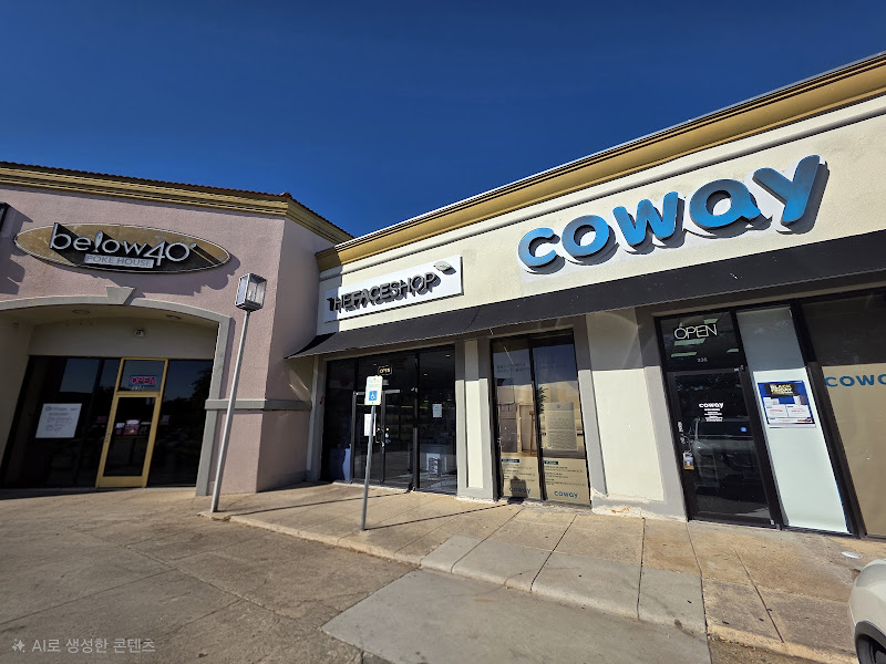 Coway Carrollton, Frisco & Plano
