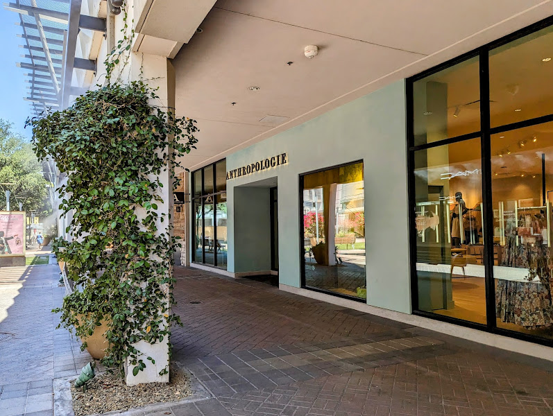 Anthropologie