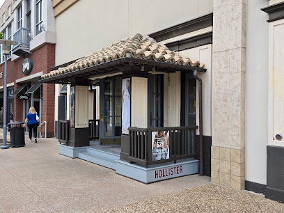 Hollister Co.