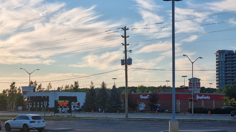 Sleep Country Canada