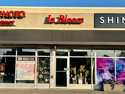 In Bloom