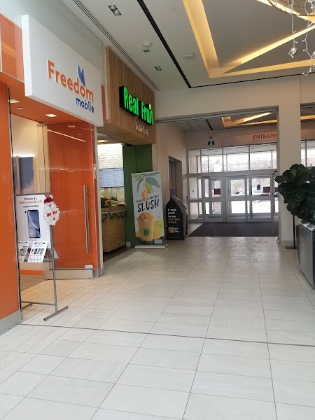 Real Fruit Bubble Tea