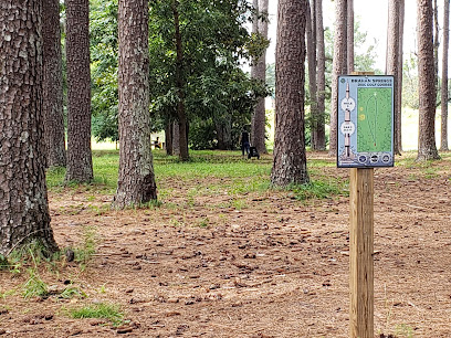 Frisbee Disc Golf