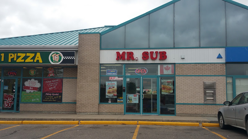 Mr. Sub