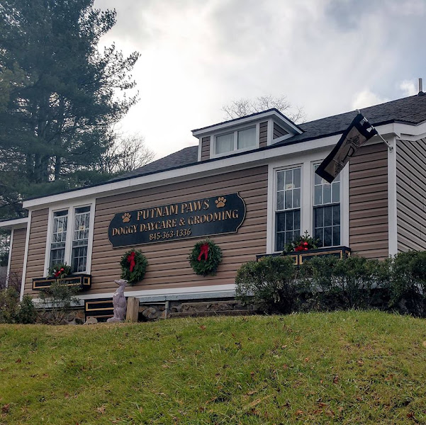 Putnam Paws Doggy Daycare & Grooming