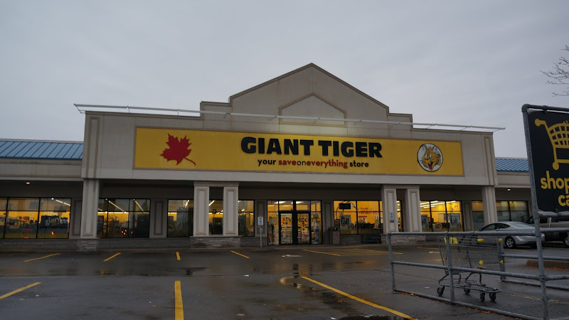 Giant Tiger