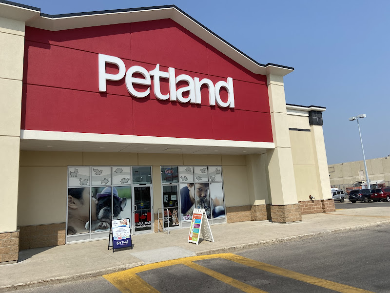 Petland Polo Park