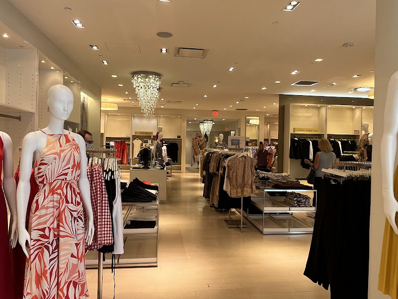 Ann Taylor