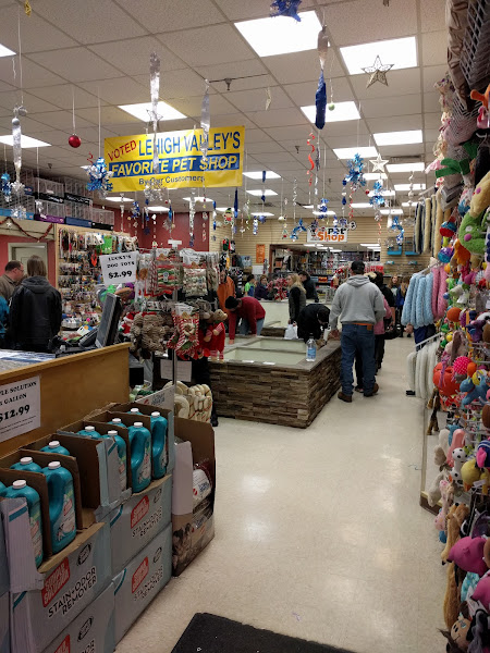 The Pet Shop
