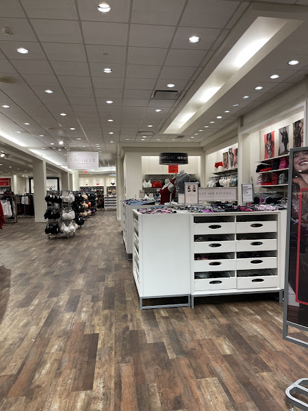 Lane Bryant
