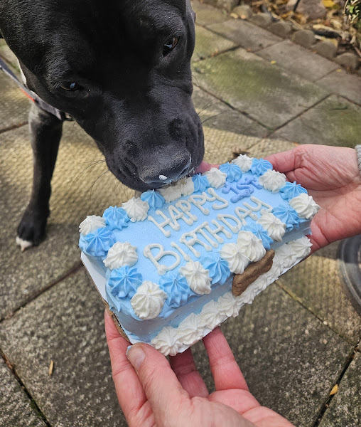 Amber's Barkery