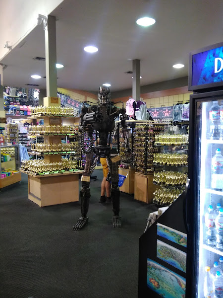 Walgreens Photo